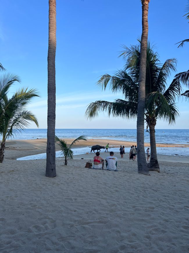 Thailand (Tag 52-71)
