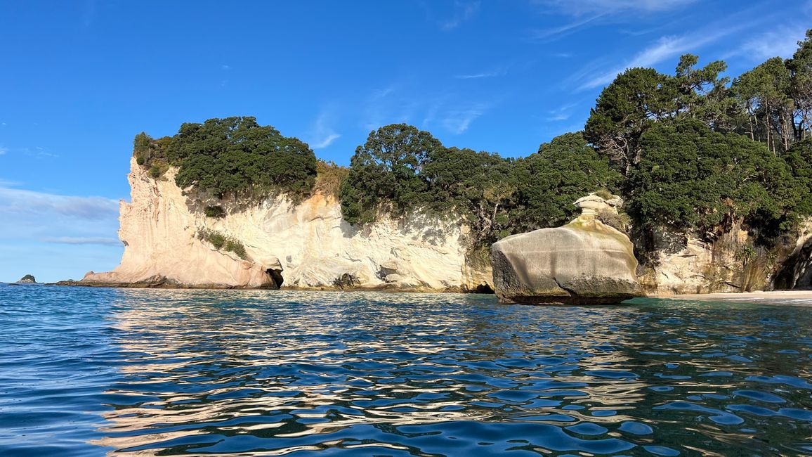 Bootstour entlang der Küste von Whitianga bis zur Cathedral Cove