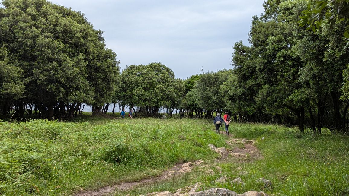 3. Etappe Camino del Norte von Castro Urdiales nach Liendo