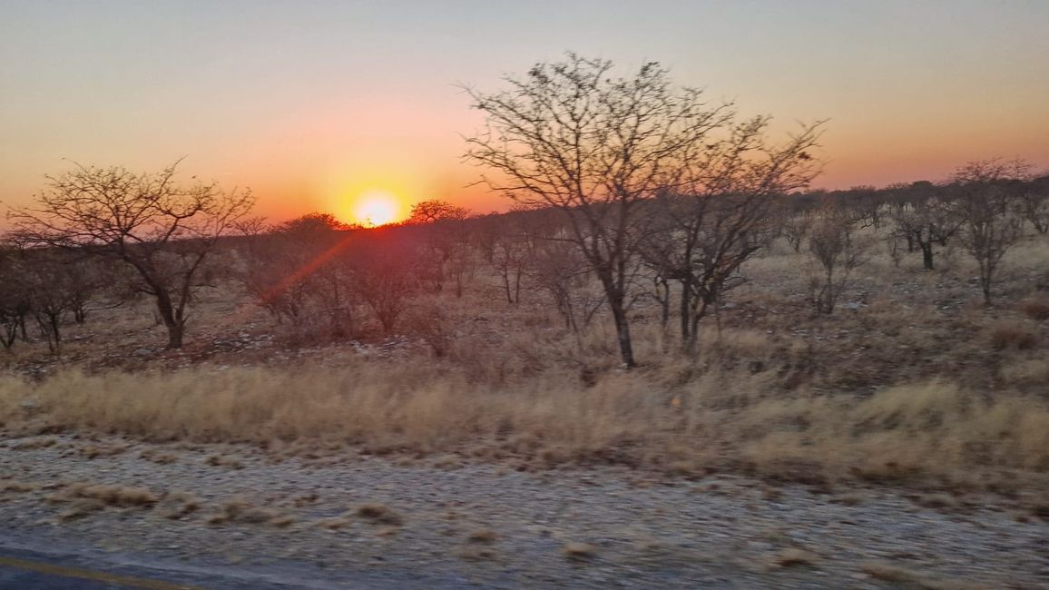 Game Drive