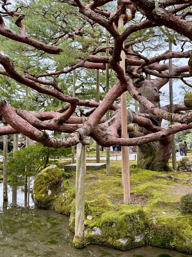 Part 8 Japan 🇯🇵 Kanazawa