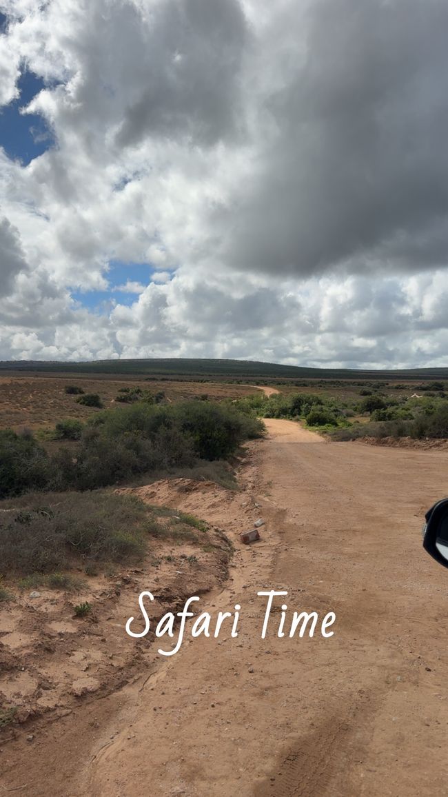 Addo Nationalpark