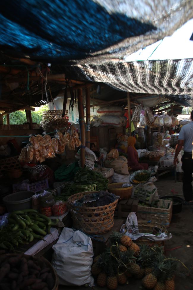 Etiqueta 16: En camino por Lombok