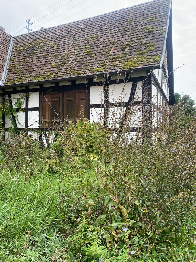 Verwunschen und traumhaft schön, finde ich 