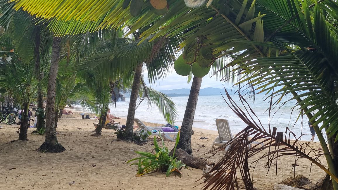 Dos noches en la costa caribeña en Cocles