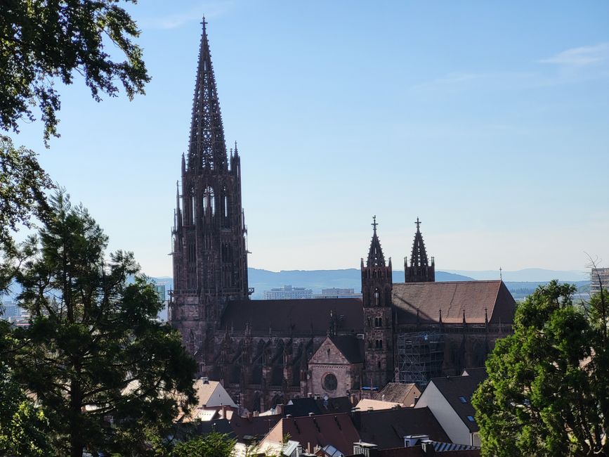 Vue du Schlossberg sur le Münster 