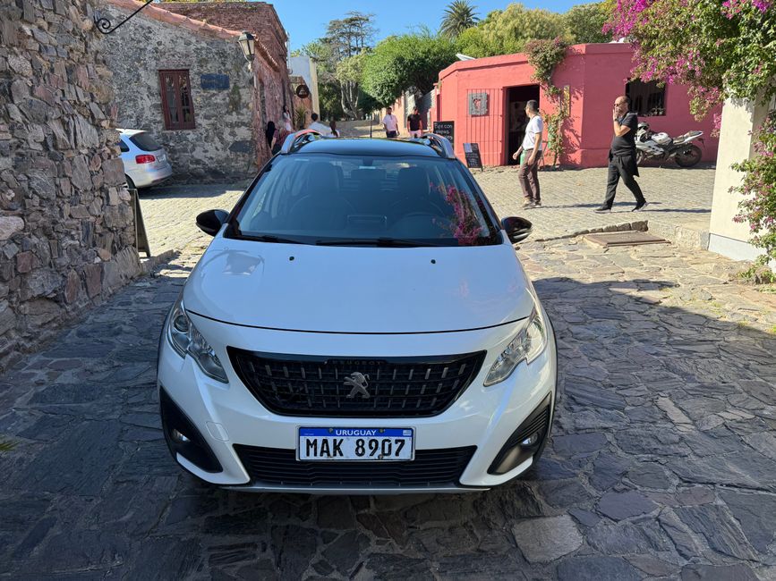 Etiqueta 12: Colón