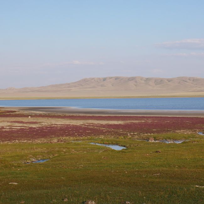 Deux jours dans la steppe kazakhe