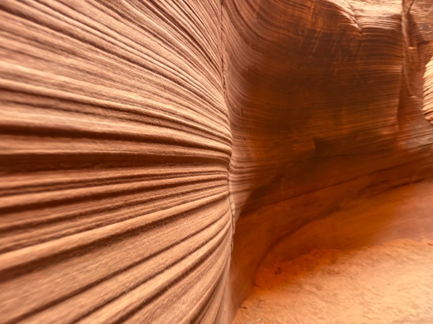 Secret Canyon 