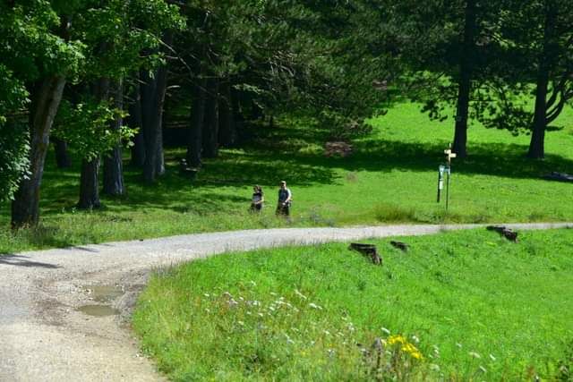 * * * Hayedo de enebro y cara de roca: una caminata en la belleza salvaje del Lochenpass * * *