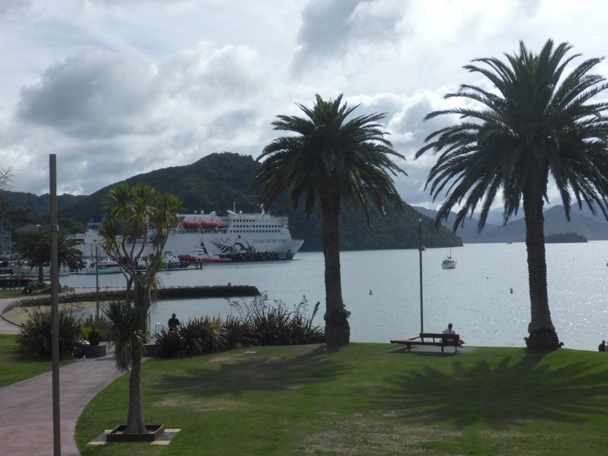 2025-03-25 NZ, l'Isola del Nord, Wellington