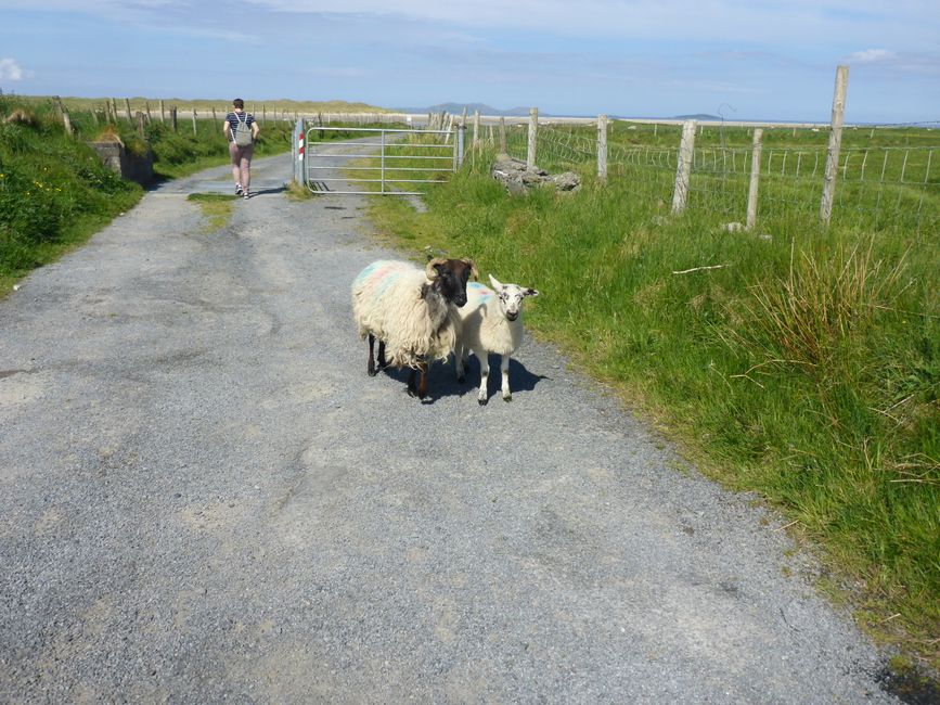 Irland