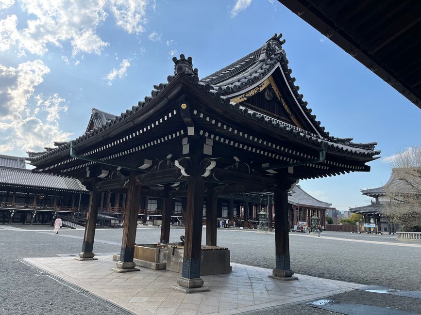Kyoto-Domingo-06.04.25