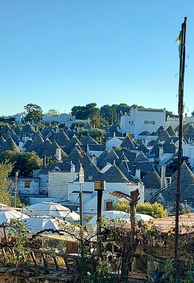 Alberobello: der schöne Baum