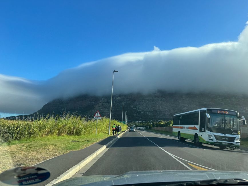 Afrique du Sud 🇿🇦Semaine 5
