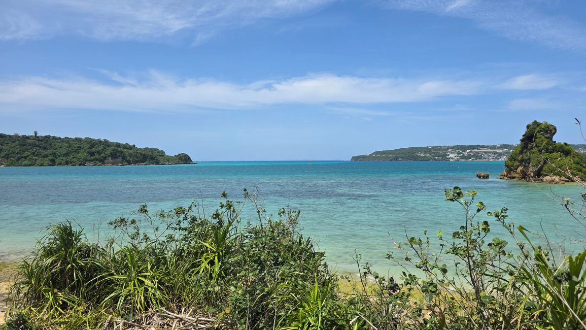 Okinawa Nuchi du takara (Life is the very thing we treasure)