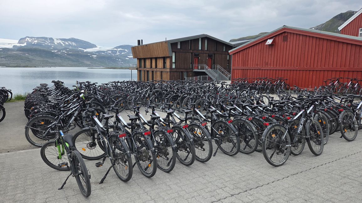 Bike Shop in Finse