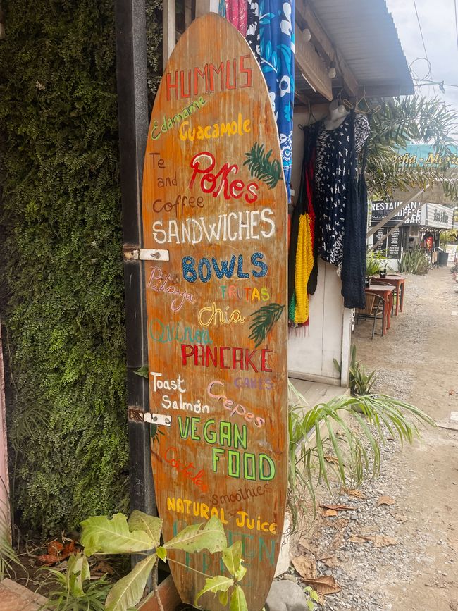 Puerto Viejo de Talamanca 🦥
