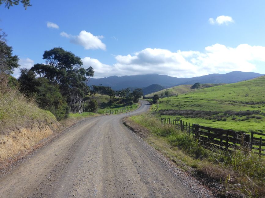 2025-04-11 NZ, Coromandel