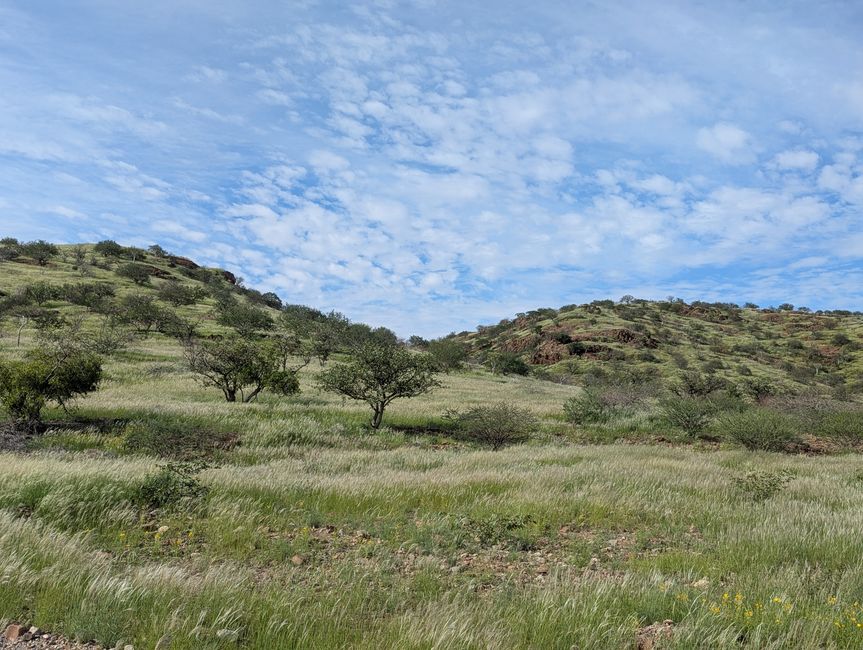 Damaraland Twyfelfontain Adventure Camp