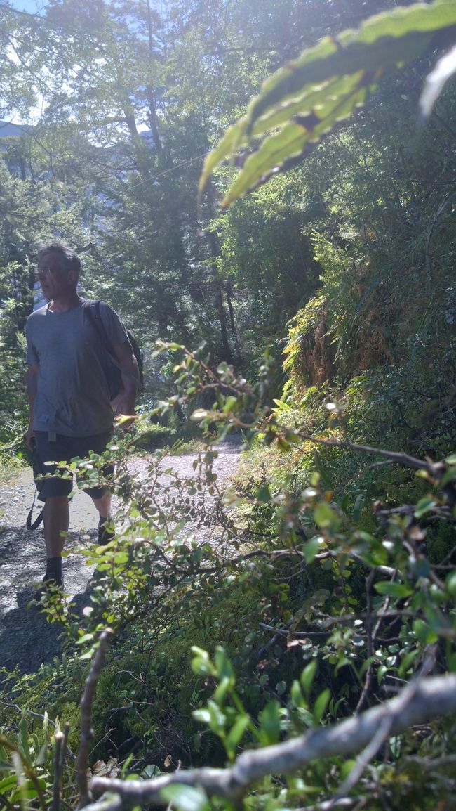 Auf nach Paradise zu "Herr der Ringe"