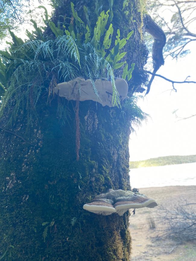 Von den Bergen ans Meer