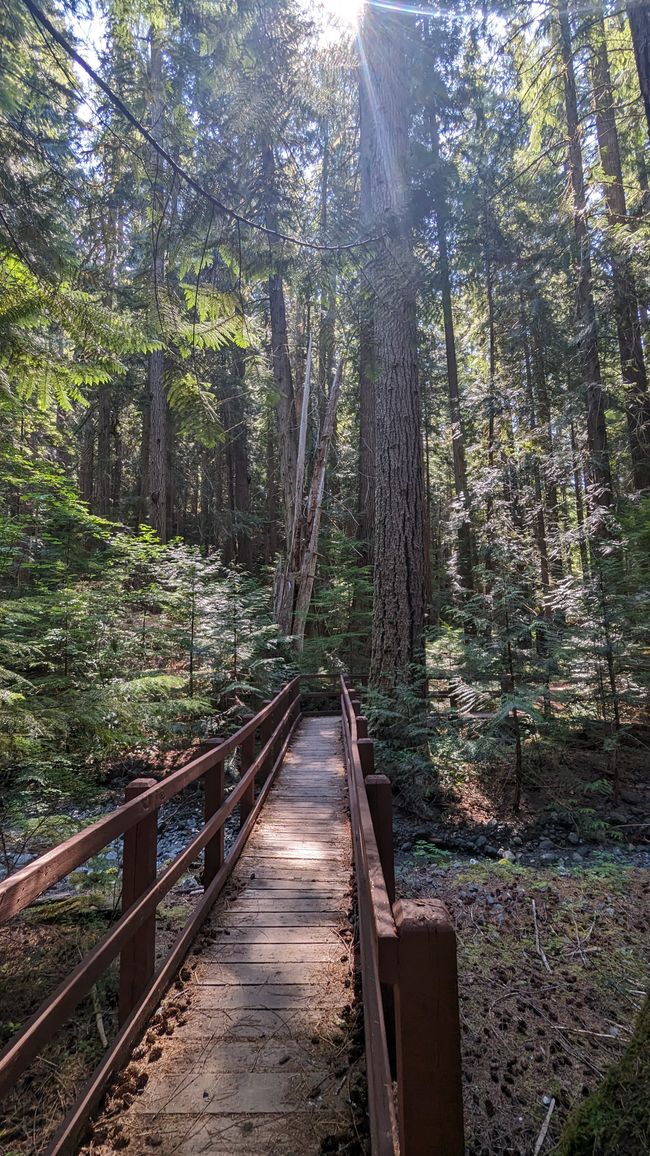 Lupin Falls Trail