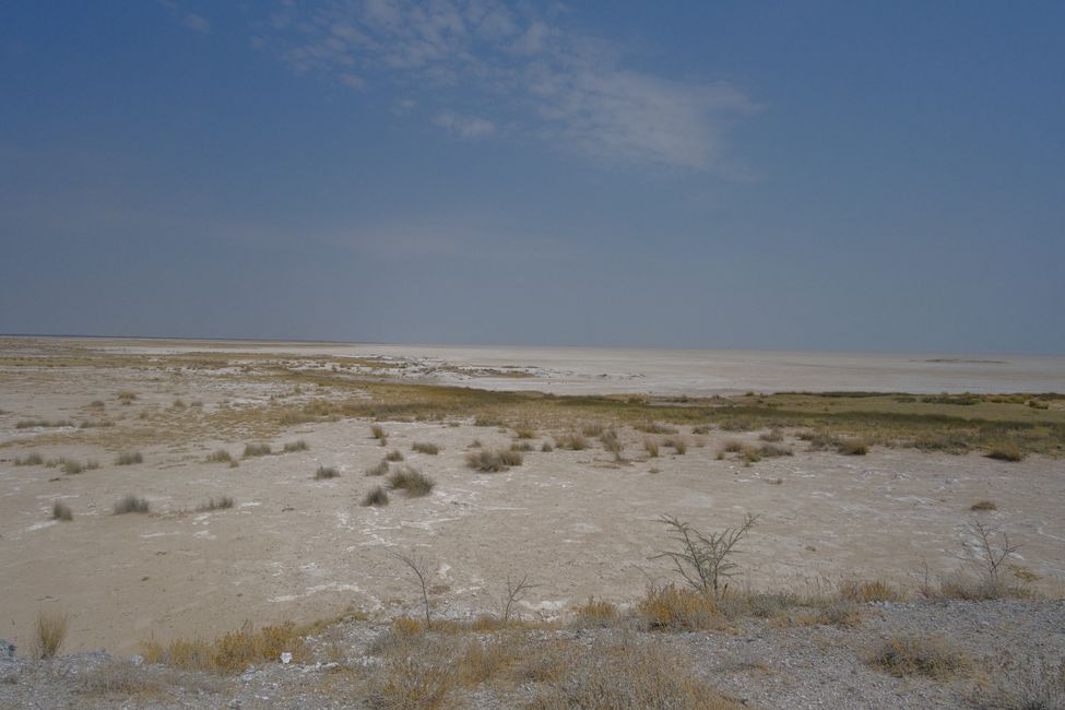 Etosha National Park 🐘🦒