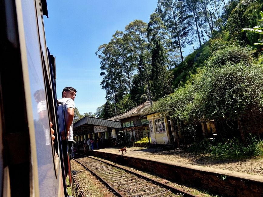 Train ride