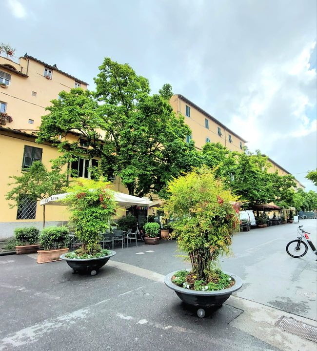 Toscane-Tour 2026
