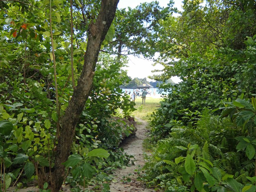 Misool, Westneuguinea, Indonesien, Insel-Ausflug