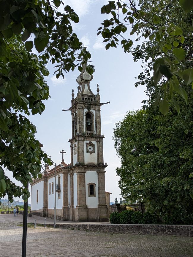 Biotopo dei pellegrini in Portogallo (Camino Portugues 4)