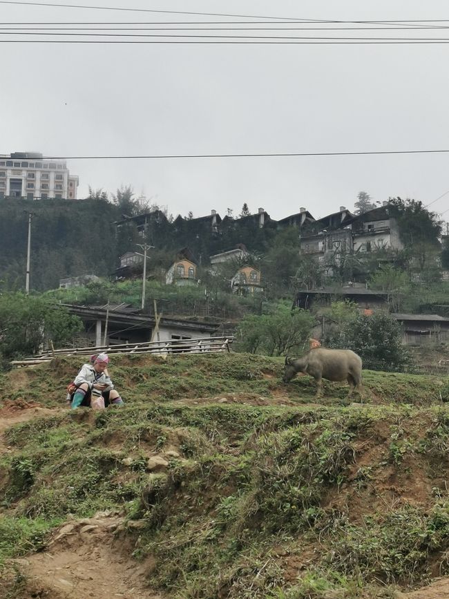 Hacia el norte montañoso hacia SaPa
