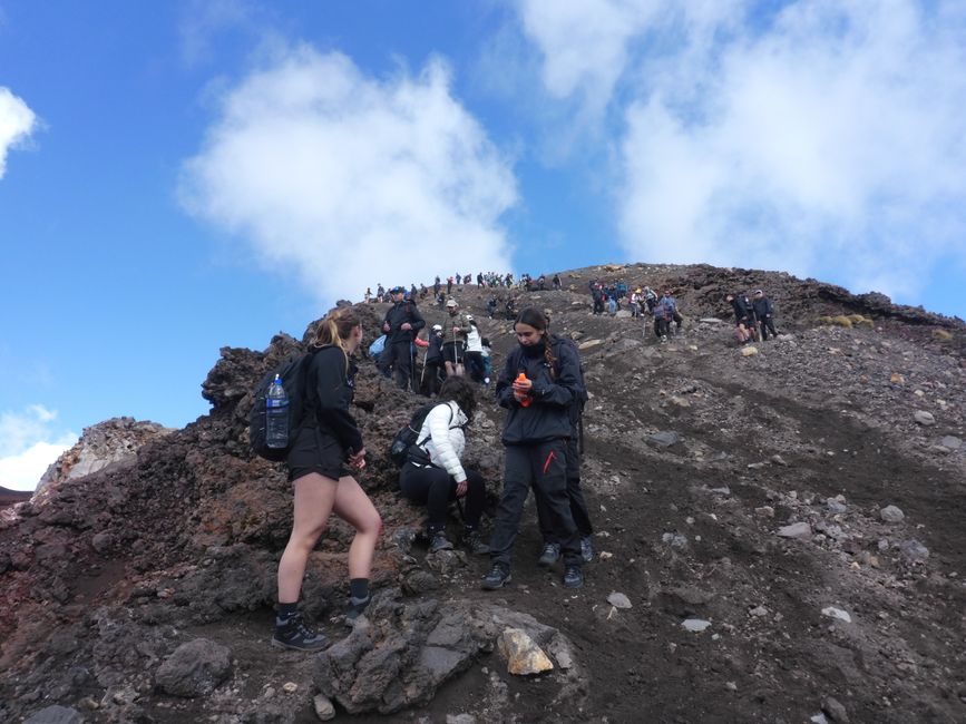 2025-03-29 Tongariro, Timber Trail and ...