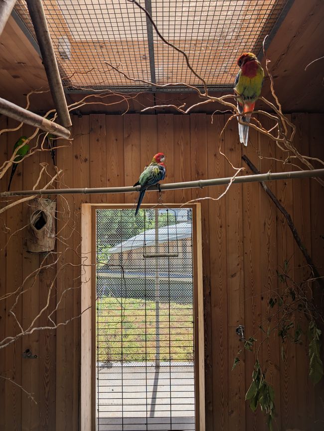 Ludwigsburg ● Blühender Barock Garten