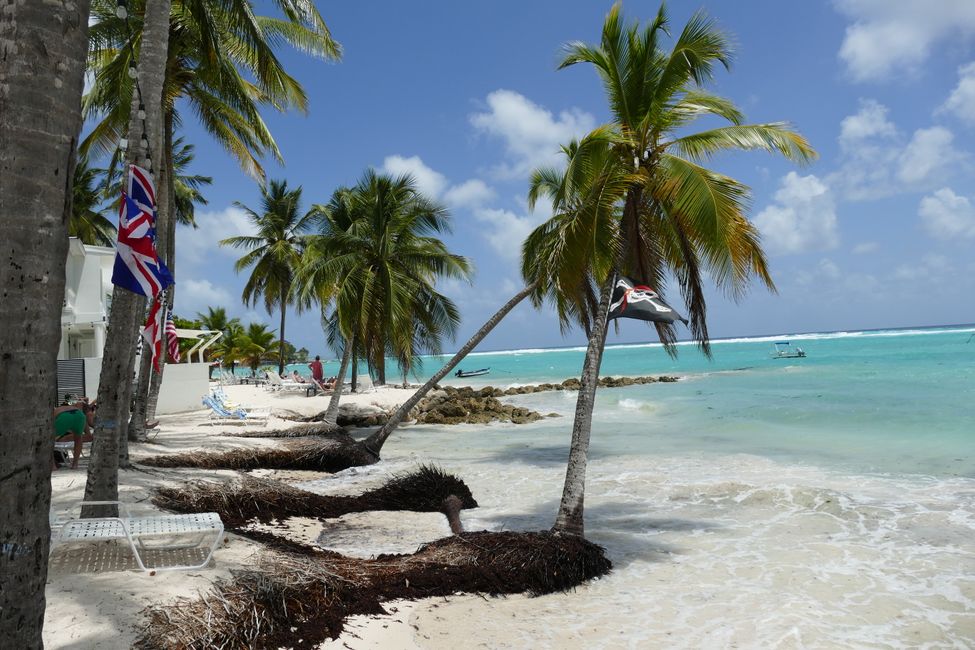 Primo impatto Barbados - Da sogno