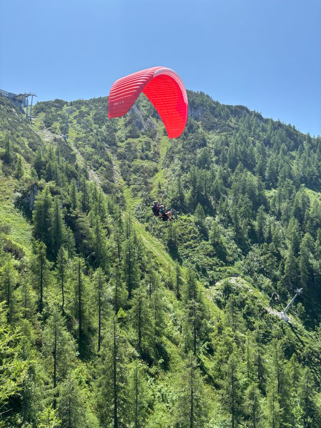 Mais je veux ! Via ferrata au Jenner