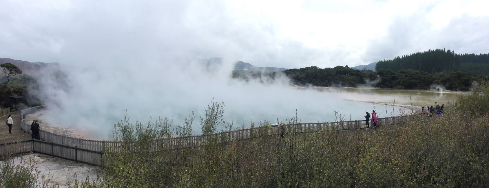 2025-03-29 Tongariro, Timber Trail und ...