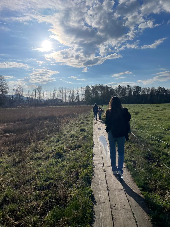 Idylle am kleinen See