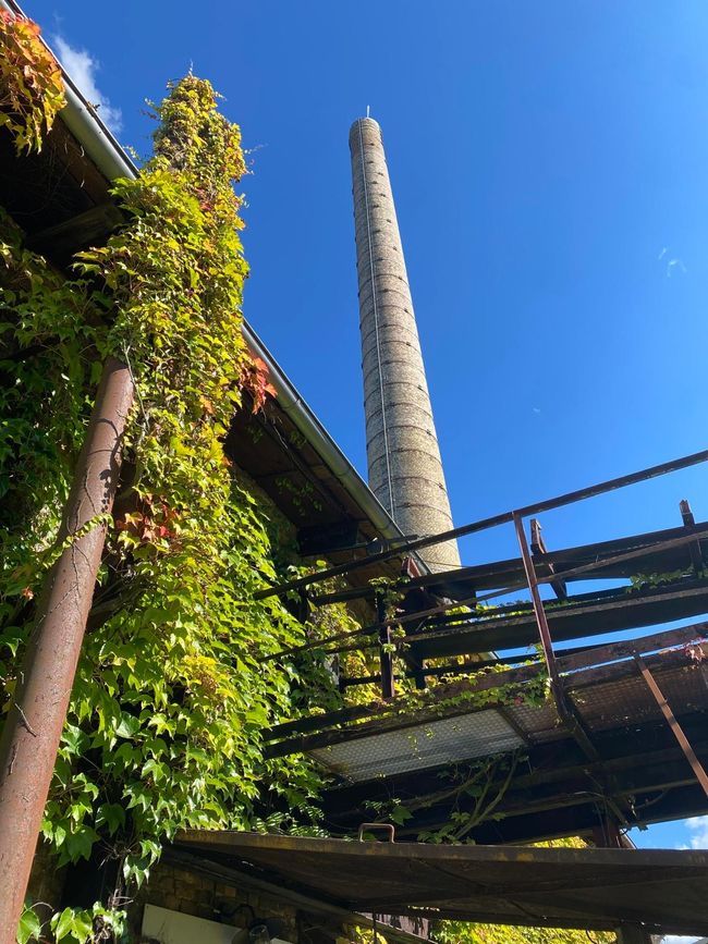 Zehdenick to Go – Bricks, Ducks, and Havel Joy