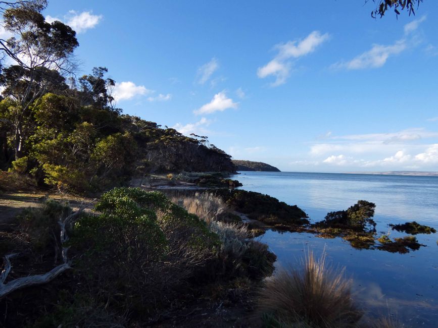 De la vallée de Barossa à l'île Kangourou