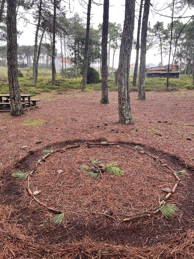 Inviting creativity and witchcraft in the forest