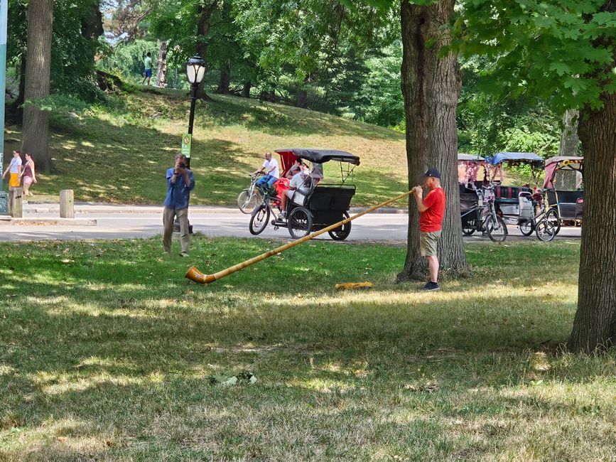 Central Park 'Walk'