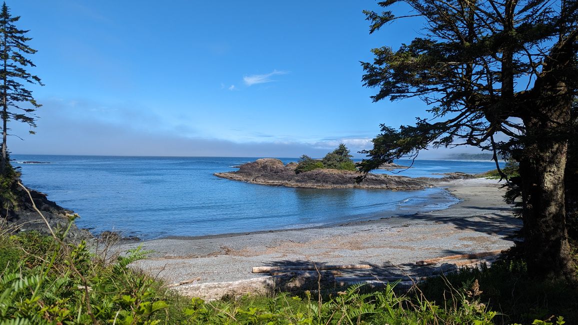 Etiqueta 7: Parque Nacional Pacific Rim - Ucluelet - Tofino