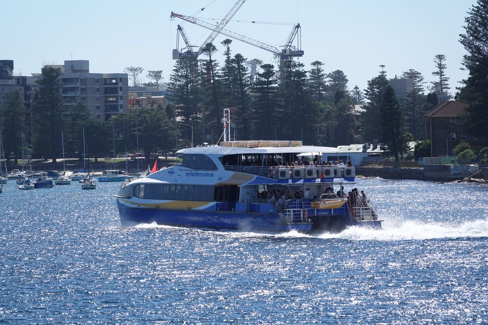Sulle spiagge di Manly ....