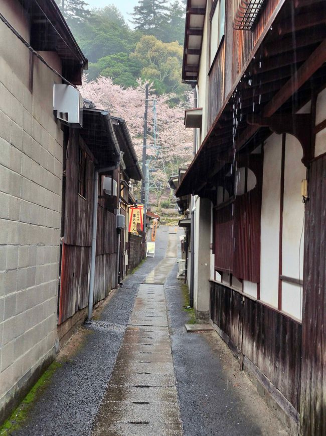 Isola di Miyajima