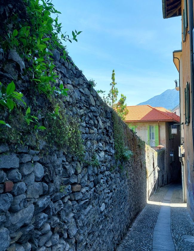Tour della Toscana 2026