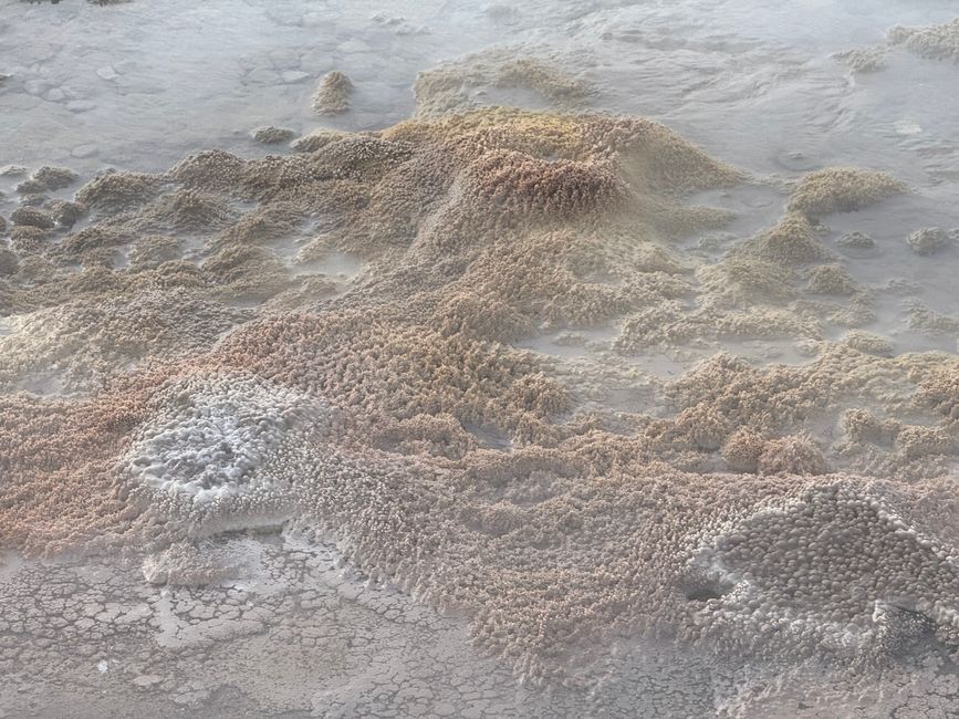 Geyser Tatio