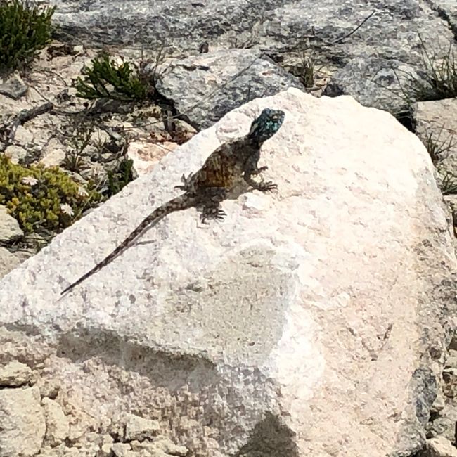 Walker Bay Nature Reservat