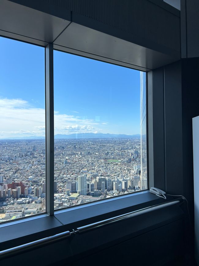 Letzter Tag vor der Rückreise - Tokio-Tag 14
